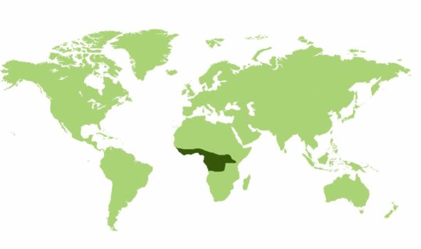 Jeżatka afrykańska  - Obszar występowania